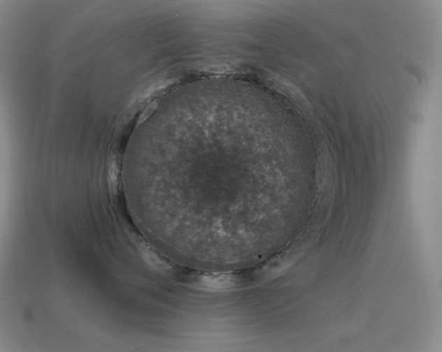 X0000115490720200911061307