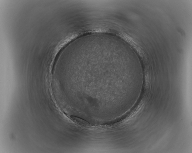 X0000115490721200911061306