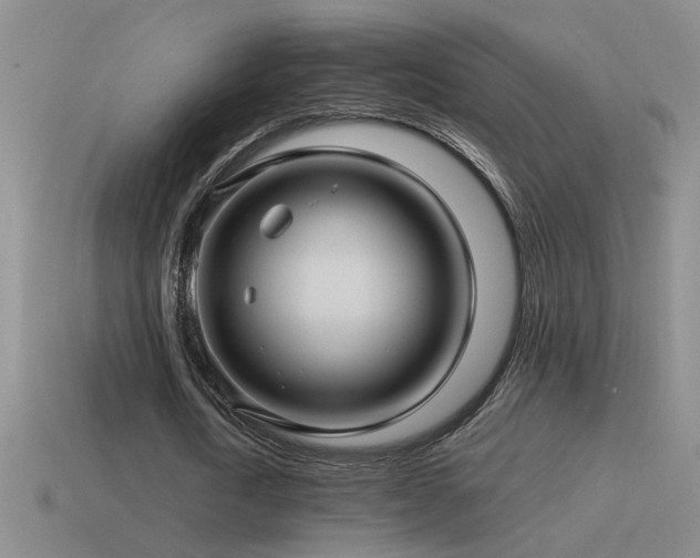 X0000115490722200911061306