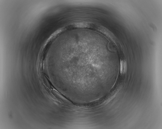 X0000115490723200911061306