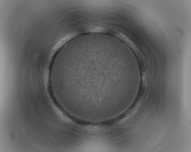 X0000115490725200911061306
