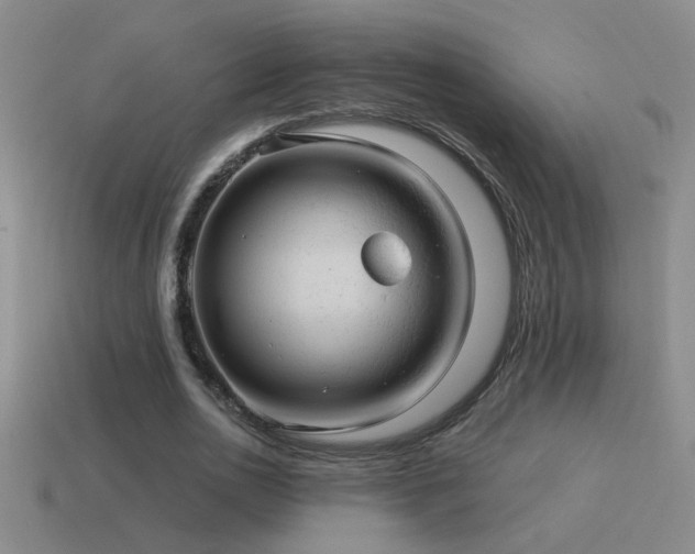 X0000115490726200911061306