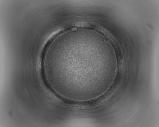 X0000115490727200911061306