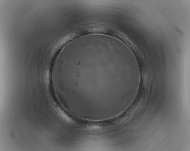 X0000115490729200911061306