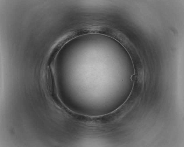 X0000115490731200911061306