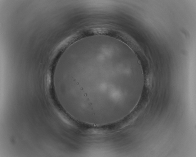 X0000115490733200911061306
