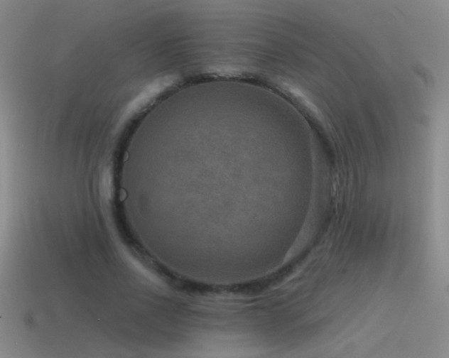 X0000115490734200911061306