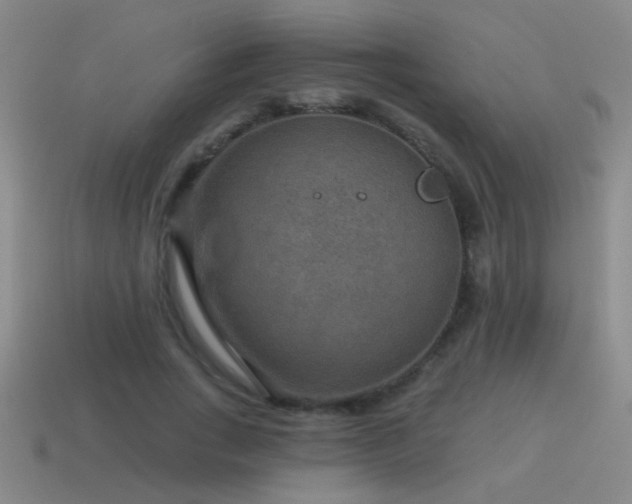 X0000115490735200911061306