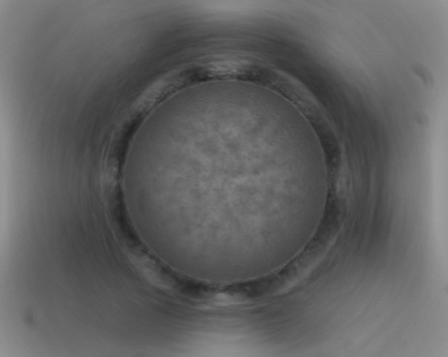 X0000115490737200911061306