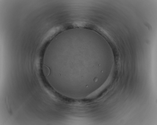 X0000115490738200911061306