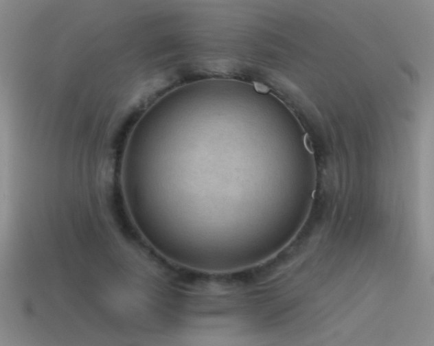 X0000115490739200911061306
