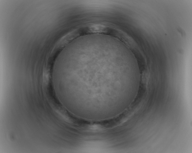 X0000115490741200911061306