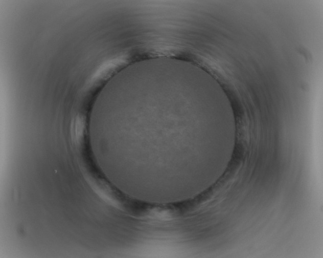 X0000115490742200911061306