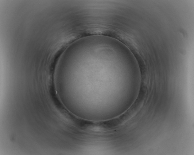 X0000115490743200911061306