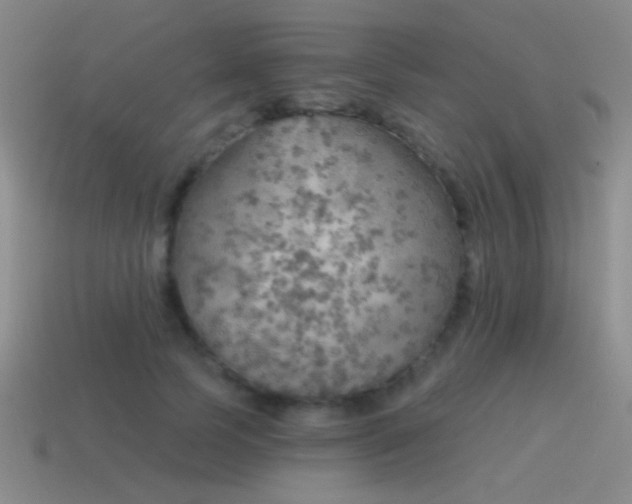 X0000115490745200911061306