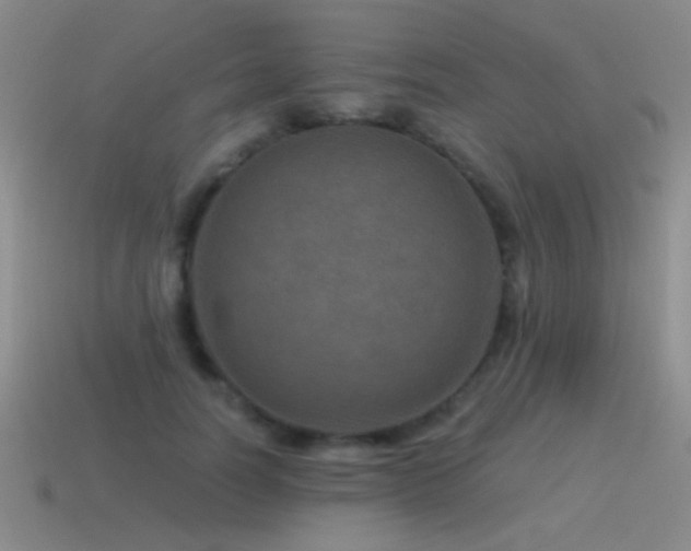 X0000115490746200911061306