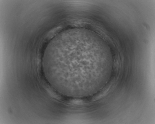 X0000115490749200911061306