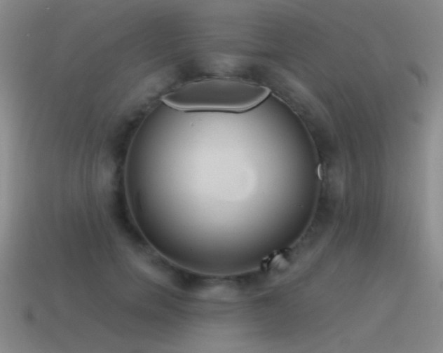 X0000115490750200911061306