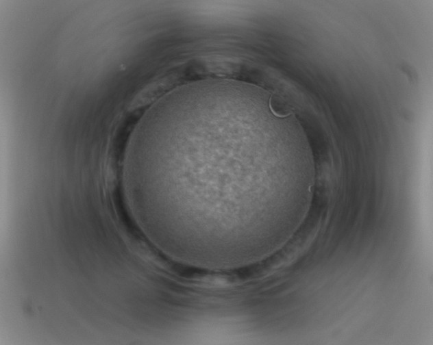 X0000115490751200911061306