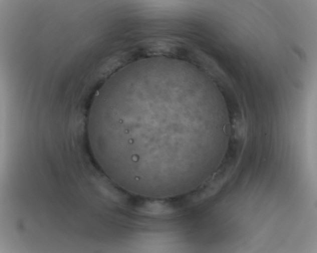 X0000115490753200911061306
