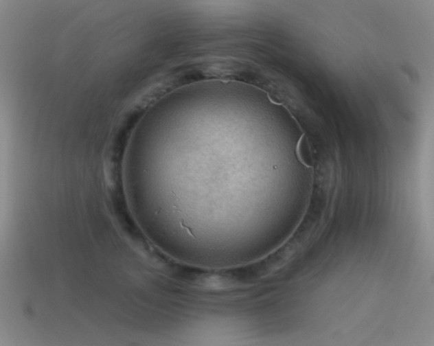 X0000115490755200911061306