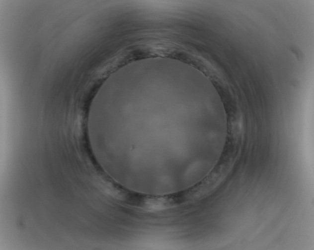 X0000115490757200911061306