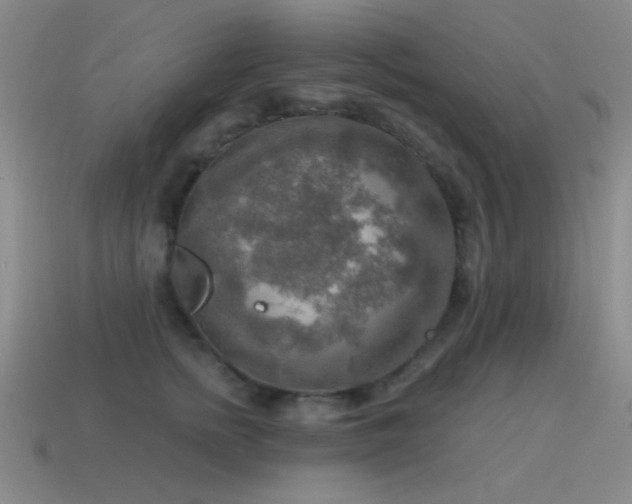 X0000115490758200911061306