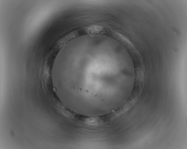 X0000115490761200911061306