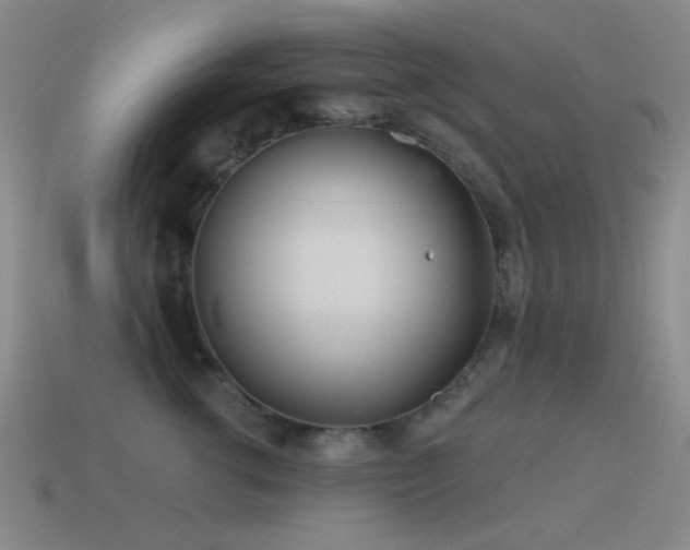 X0000115490762200911061306
