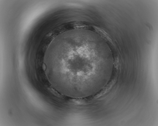 X0000115490763200911061306