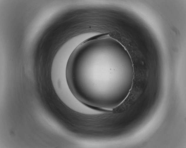 X0000115490766200911061306