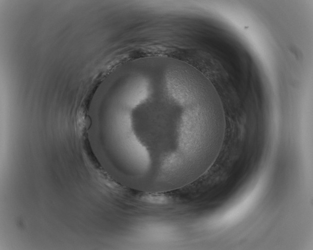 X0000115490767200911061306