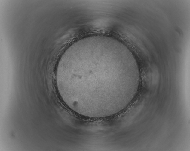 X0000115490769200911061306