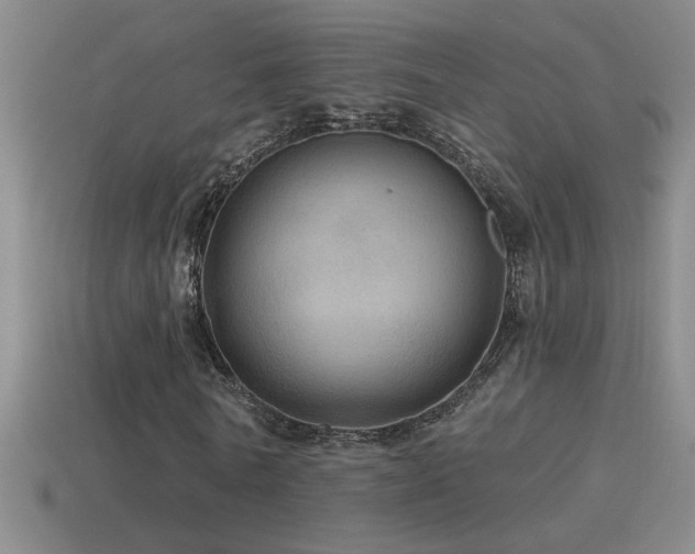 X0000115490770200911061306