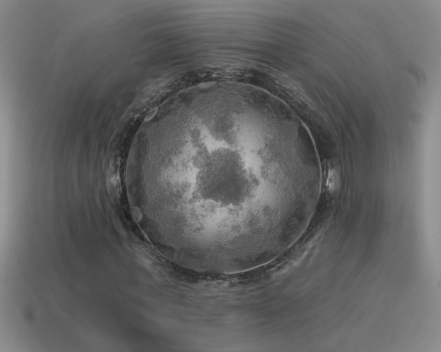 X0000115490771200911061306