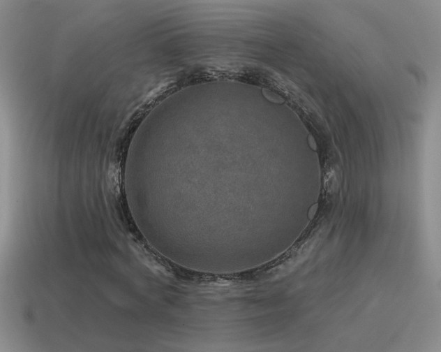 X0000115490772200911061306