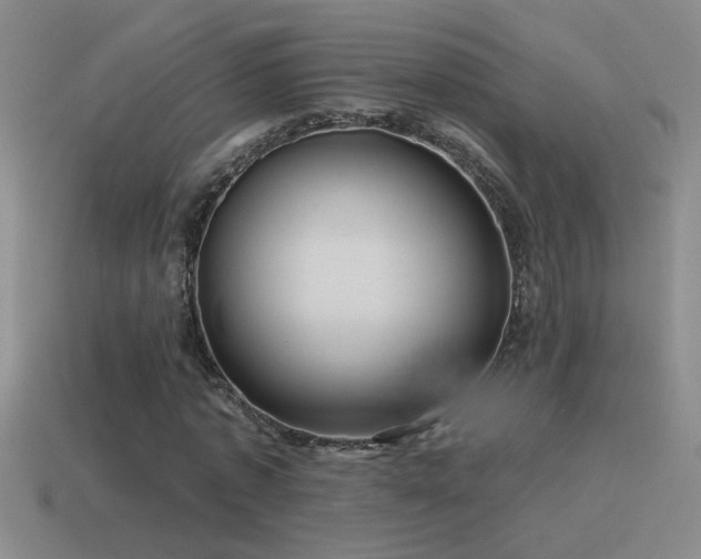 X0000115490773200911061306