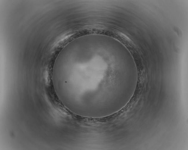 X0000115490774200911061306