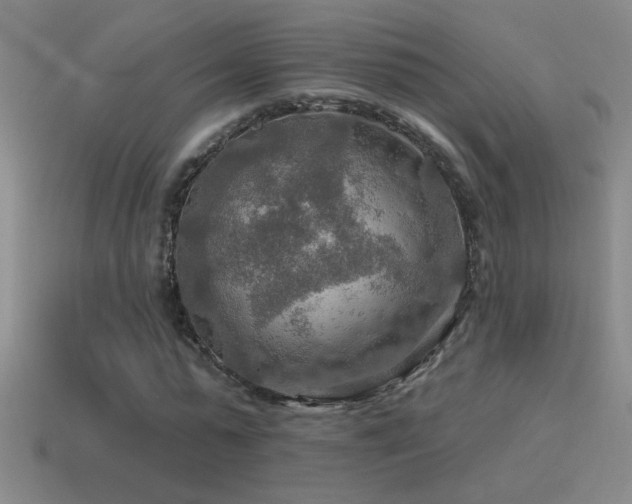 X0000115490775200911061306