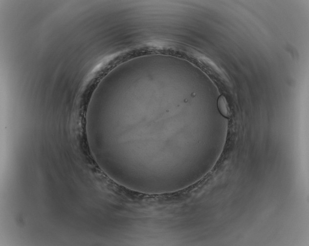 X0000115490776200911061306