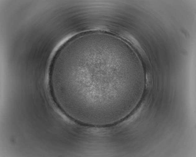 X0000115490780200911061306