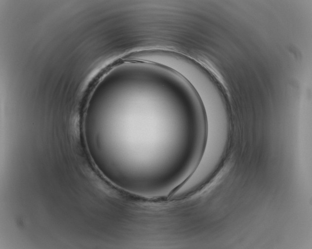 X0000115490781200911061306