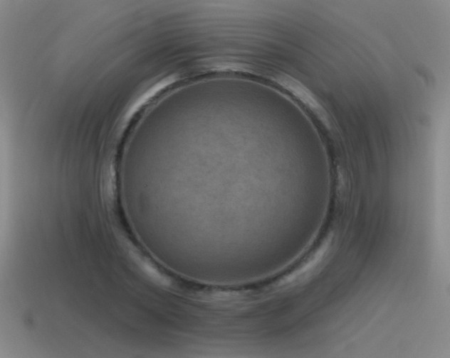 X0000115490782200911061306