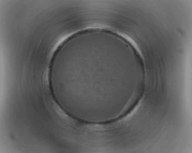 X0000115490783200911061306