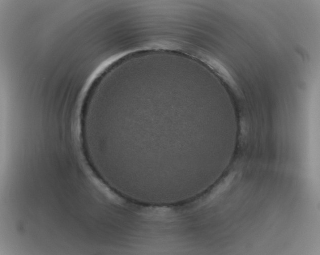 X0000115490784200911061306