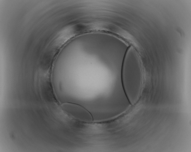 X0000115490785200911061306