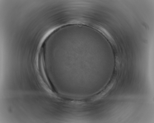 X0000115490788200911061306