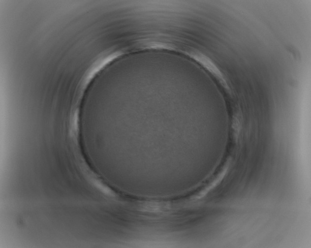 X0000115490790200911061306