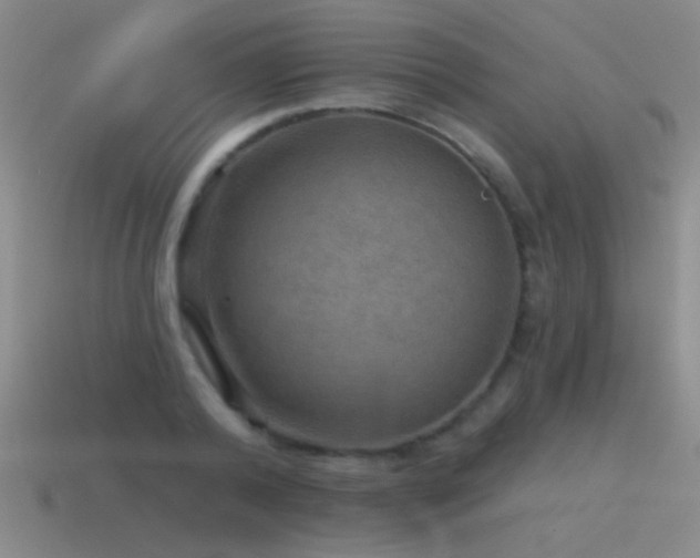 X0000115490792200911061306