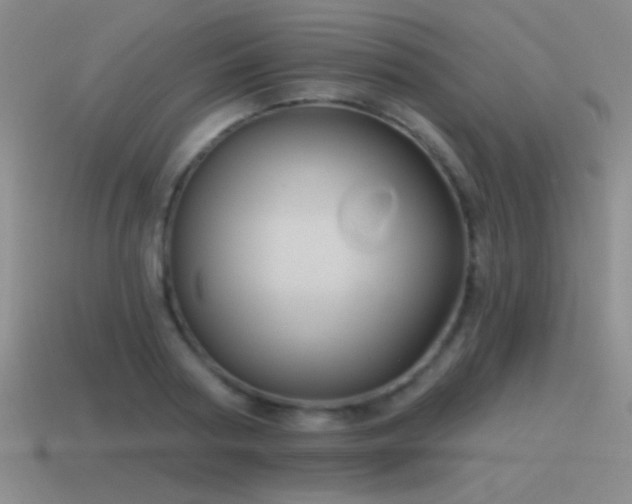 X0000115490794200911061306